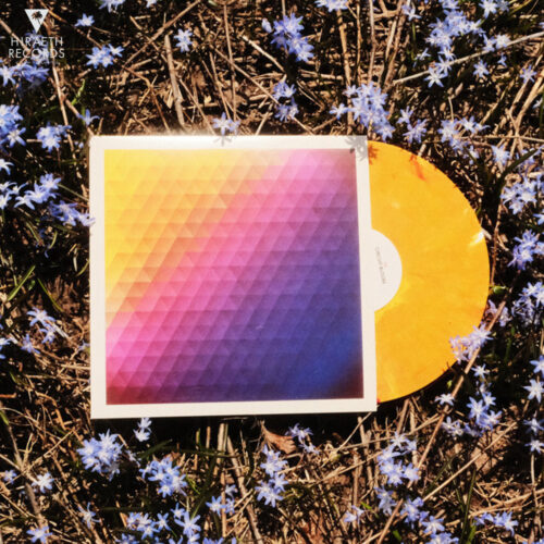 36 - Circuit Bloom